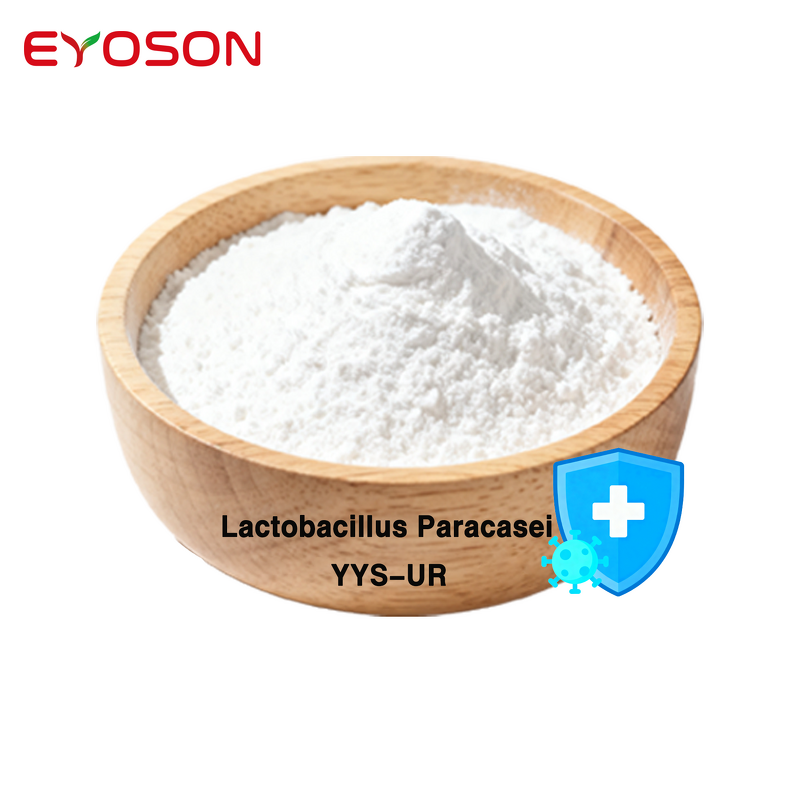 Freeze Dried Probiotics Factory - HACCP QS ISO Certified Halal