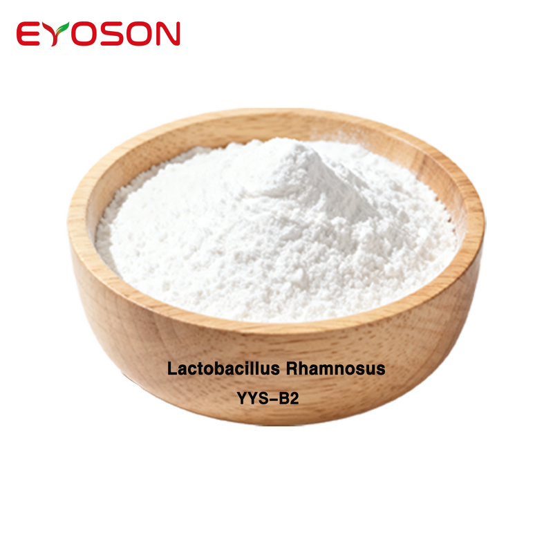 Probiotics Powder Manufacturer - OEM 50 Billion Lactobacillus Rhamnosus