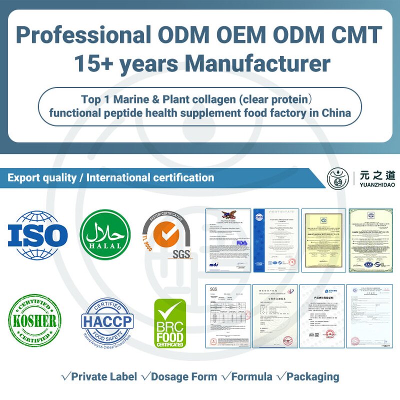 Whey Protein Powder Factory - Sports Nutrition Isolate Muscle