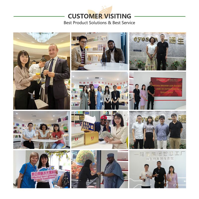 Rice Protein Peptide Factory - Halal Plant Peptide Skincare Raw