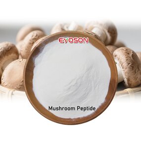 Mushroom Peptides Manufacturer - Wholesale Lentinus Edodes 95% Purity