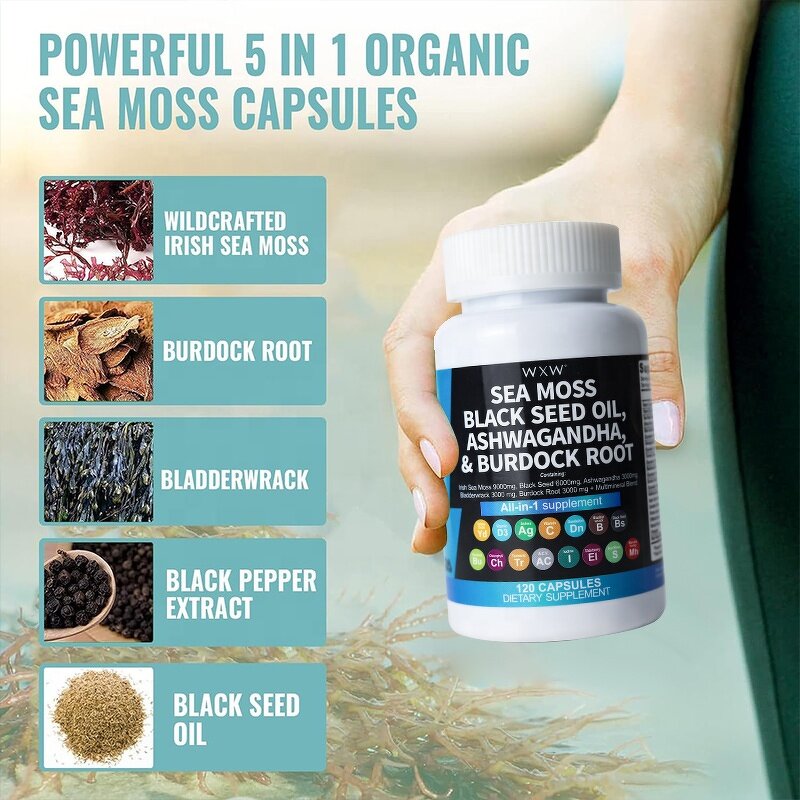 Sea Moss Capsules Factory - Hot Selling Overall Health Softgel