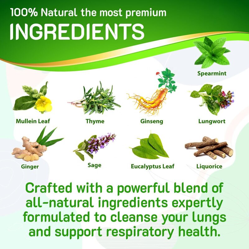 Mullein Leaf Tea Bag Factory - OEM Wholesale Organic Respiratory