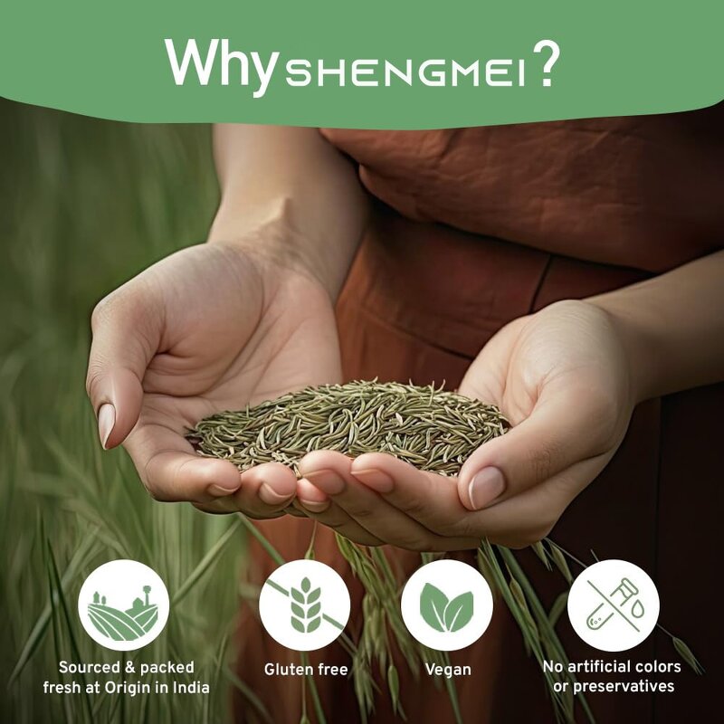 Fennel Tea Bags Manufacturer - Wholesale High Quality Pure Natural