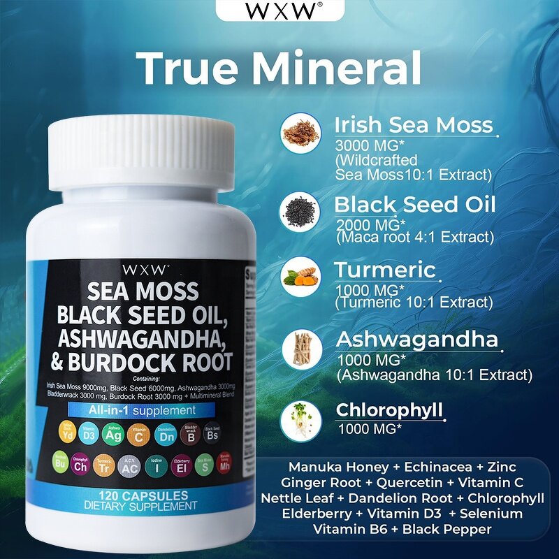 Sea Moss Capsules Factory - Premium Quality Immune Digestion