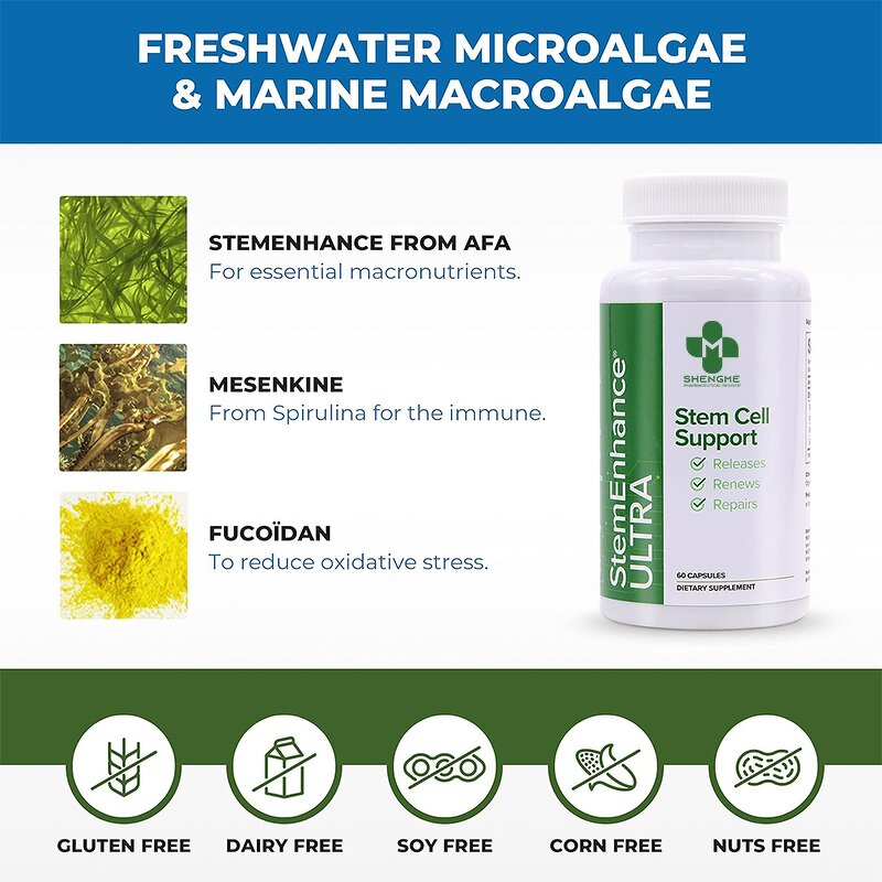 Stem Cell Hard Capsule Factory - Cellular Health Immune Support