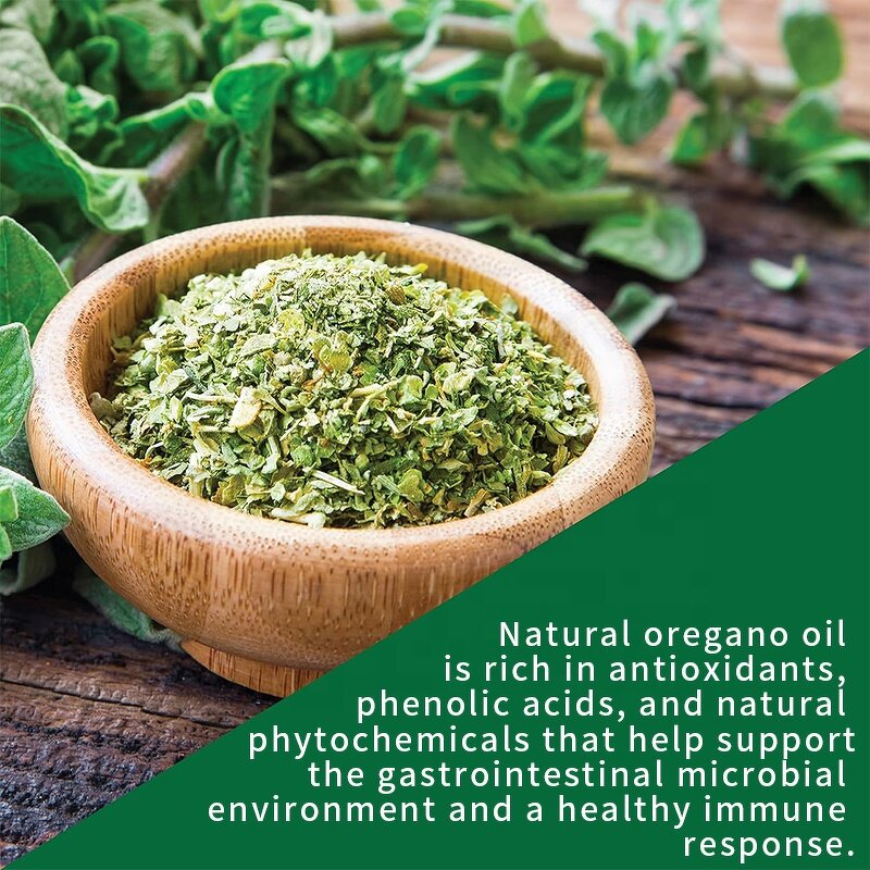 Oregano Oil Capsule Manufacturer - Private Label Digestive System