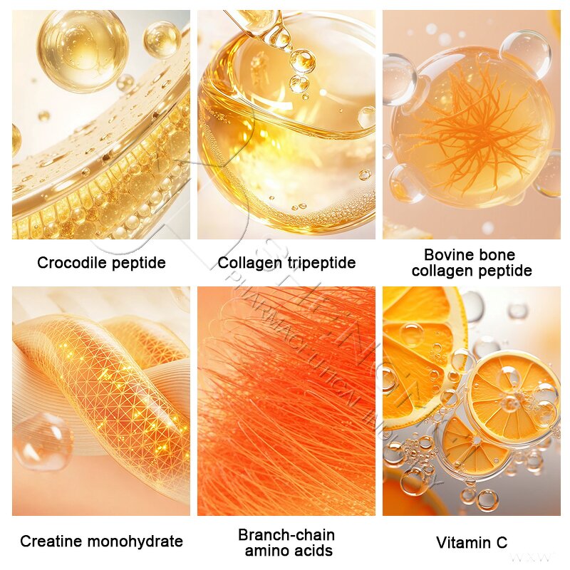 Crocodile Collagen Peptide Capsules Manufacturer - Premium Anti-Aging