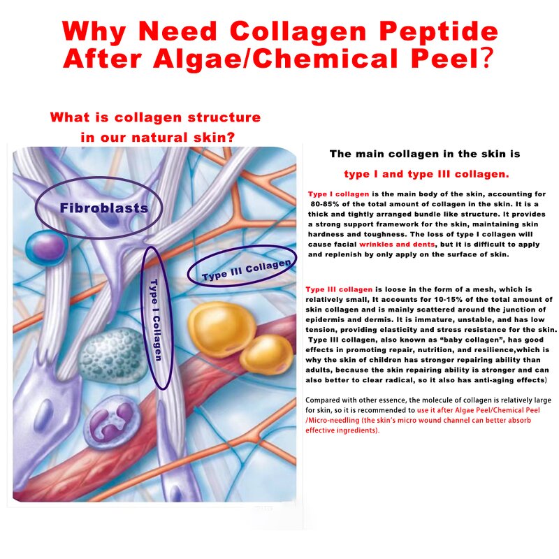 Collagen Serum Manufacturer - Sciensmed Type III Anti-aging