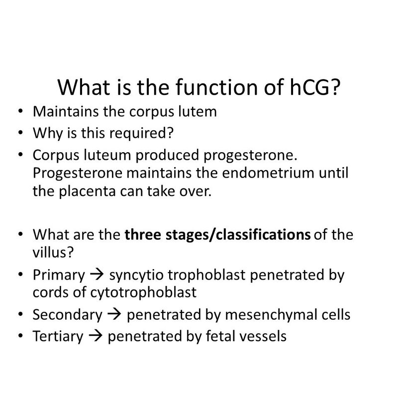 HCG Test Strip Manufacturer - One Step Pregnancy 2.5mm