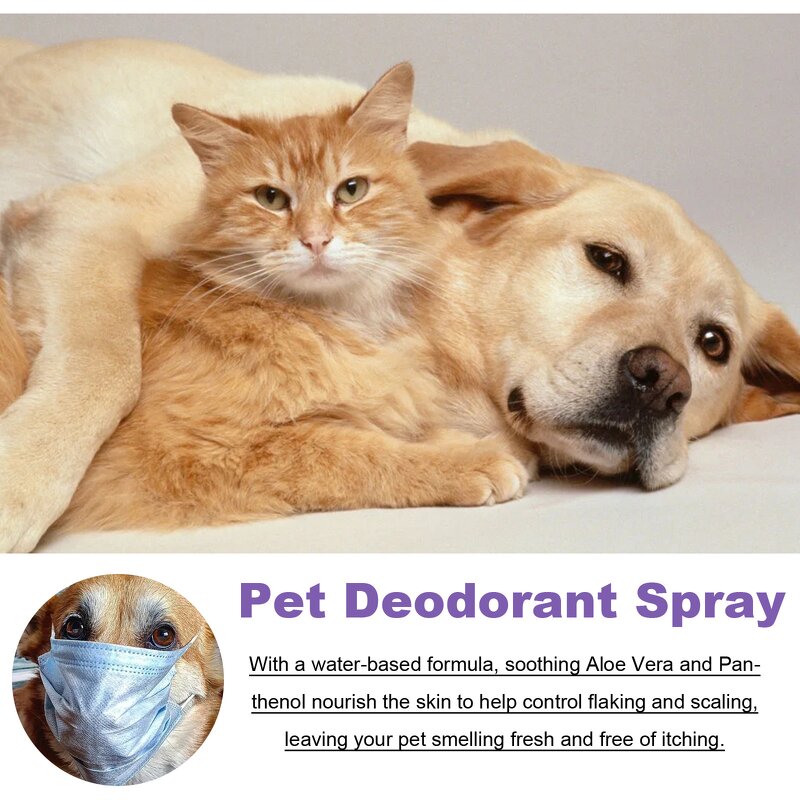 Pet Deodorant Spray Manufacturer - Long Lasting Custom