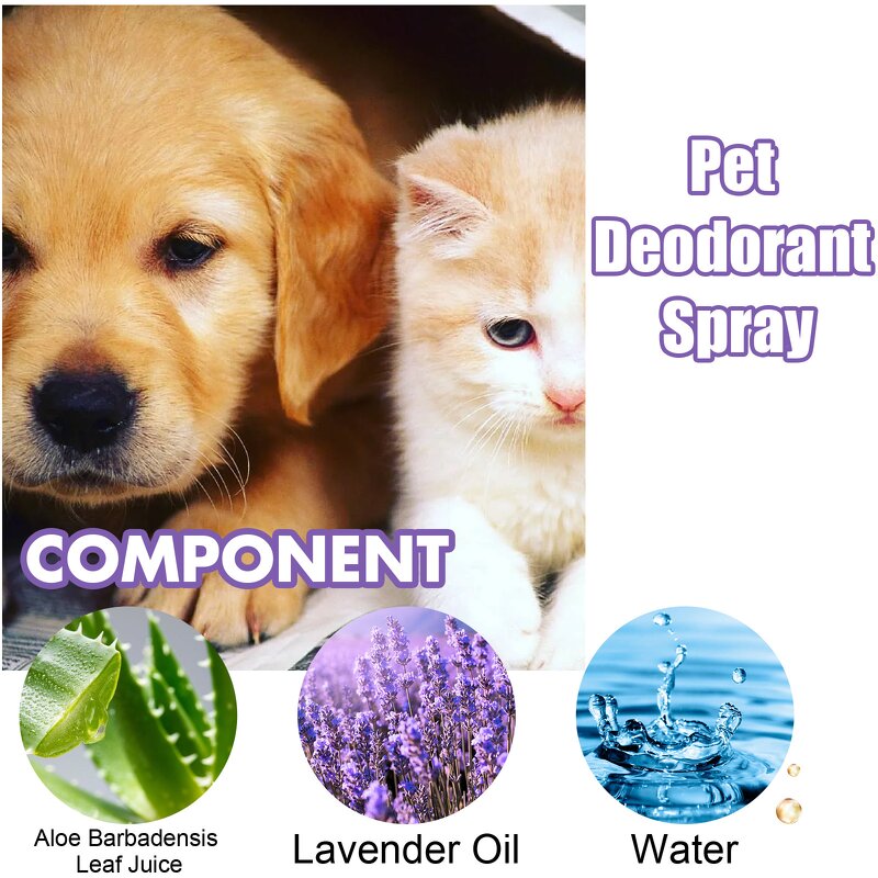 Pet Deodorant Spray Manufacturer - Long Lasting Custom