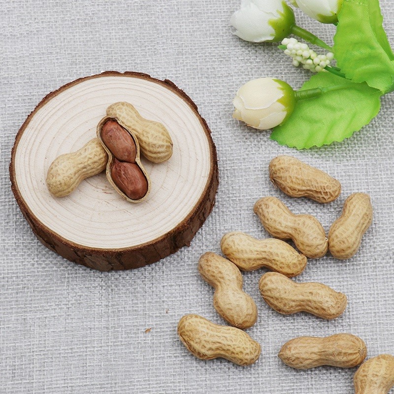 Roasted Peanut Factory - OEM Baked Kernel Snack