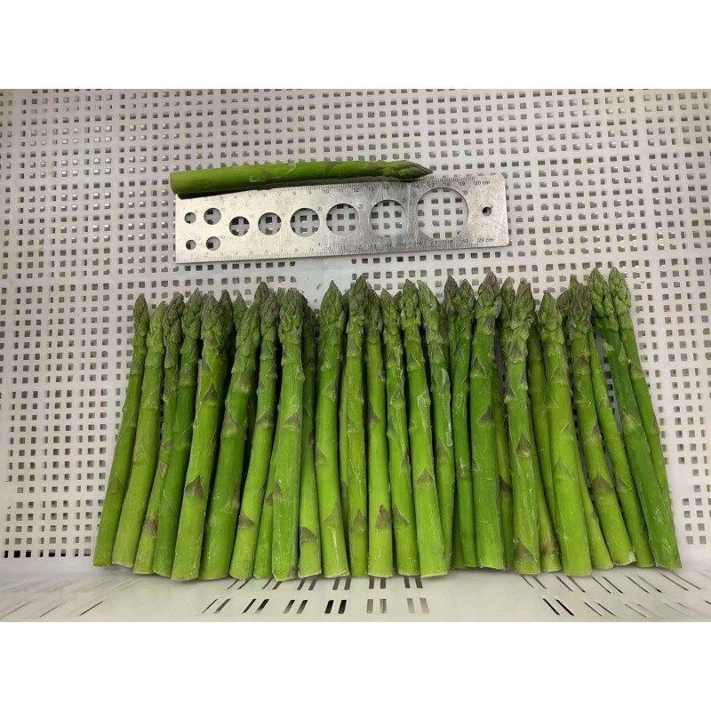 IQF Asparagus Factory - OEM Frozen Fresh Whole