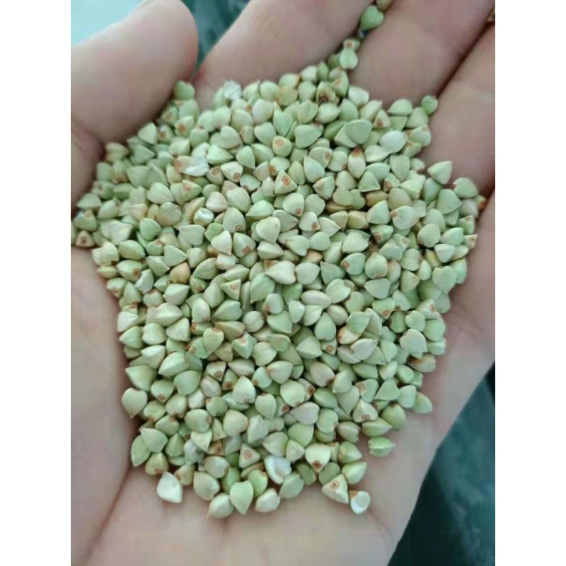 Buckwheat Hull Factory - OEM Chinese Roasted Hulled