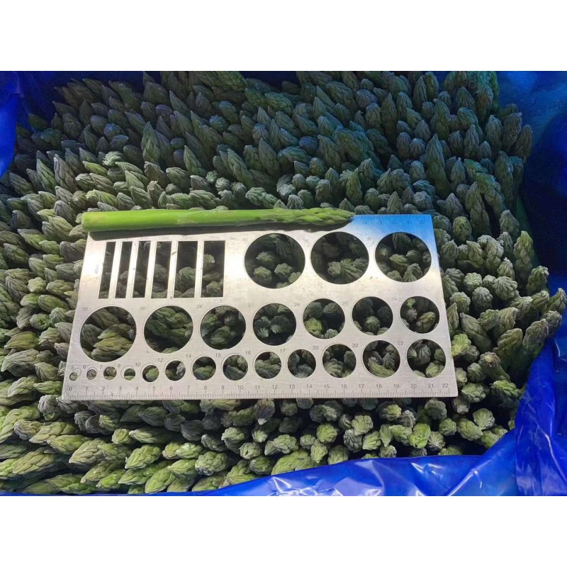 IQF Asparagus Factory - OEM Frozen Fresh Whole