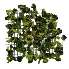 Freeze Dried Broccoli Factory - OEM FD Cubes Flakes