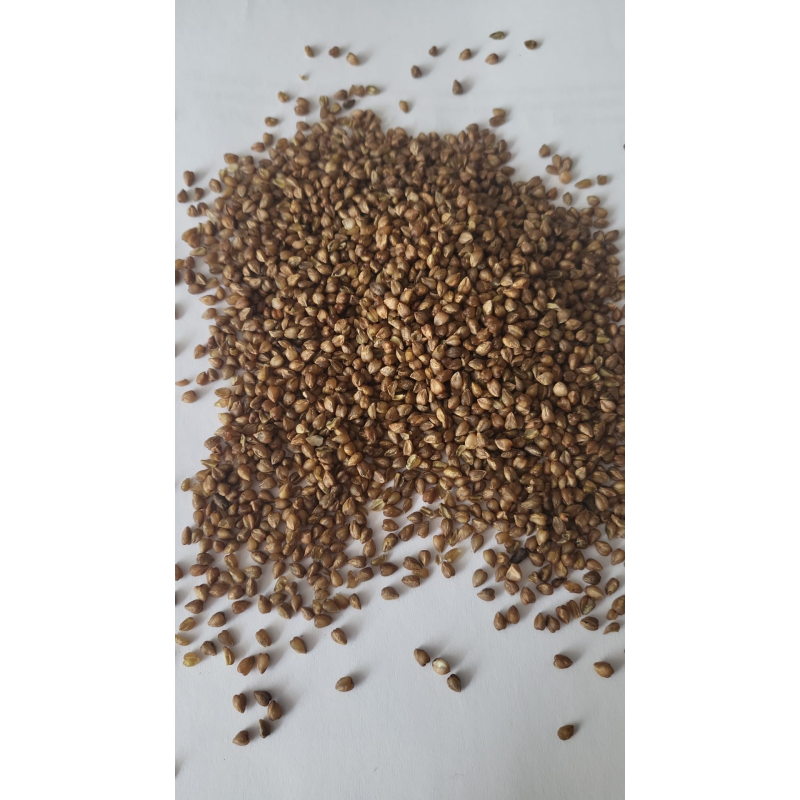 Tartary Buckwheat Hull Manufacturer - OEM Chinese Hulled