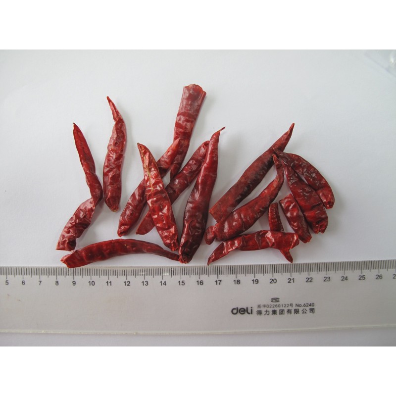 Red Chili Whole Factory - OEM Capsicum Whole