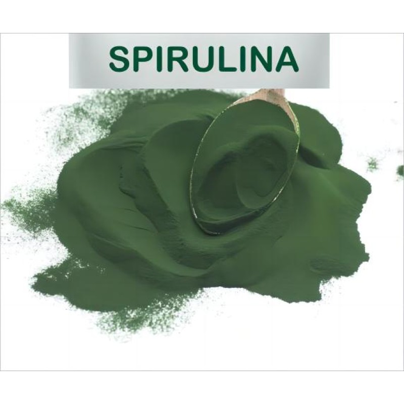 Spirulina Powder Manufacturer - OEM Food Grade Seaweed