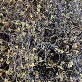 Dehydrated Vegetables Manufacturer - OEM Air Dried Bracken