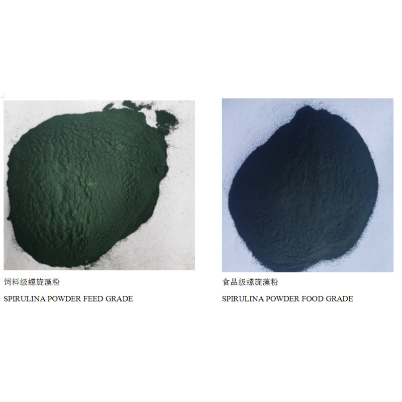 Spirulina Powder Manufacturer - OEM Food Grade Seaweed