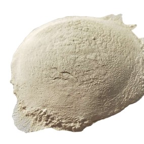 Mealworm Powder Manufacturer - OEM Defatted Worm Powder