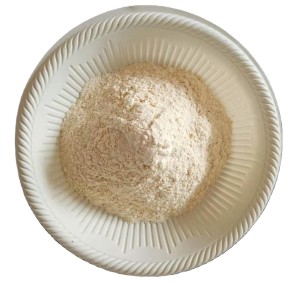 Dried Lemon Powder Manufacturer - OEM Dehydrated Lemon