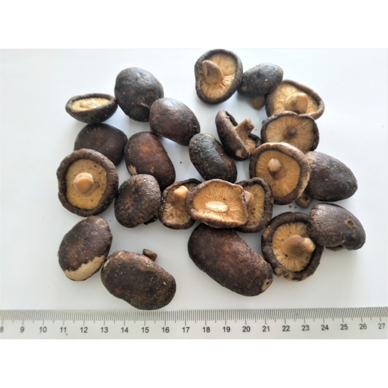 Vacuum Fried Shiitake Manufacturer - OEM VF Mushroom Whole