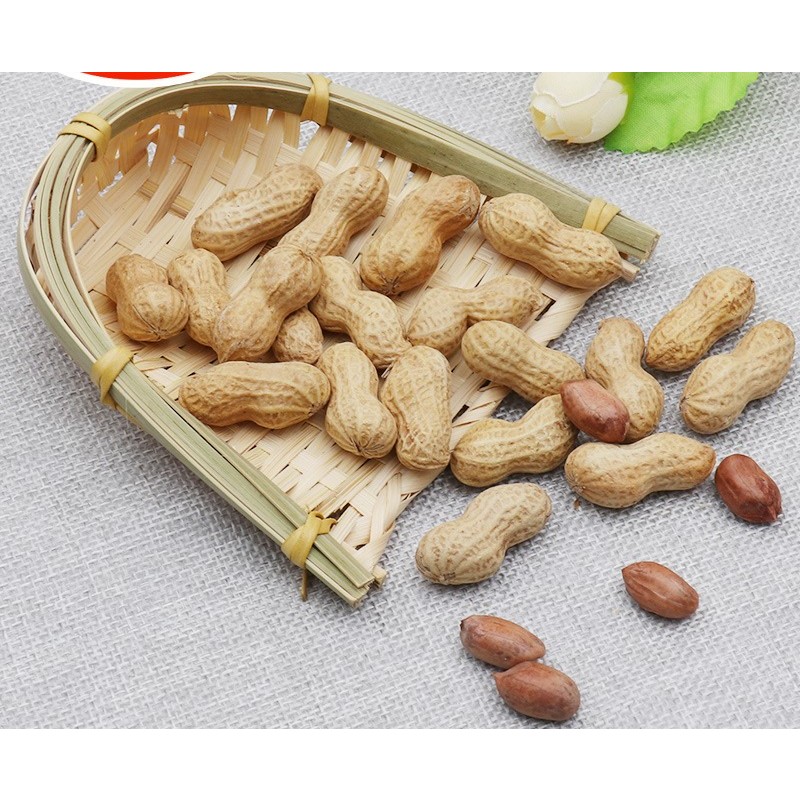 Roasted Peanut Factory - OEM In Shell 9/11