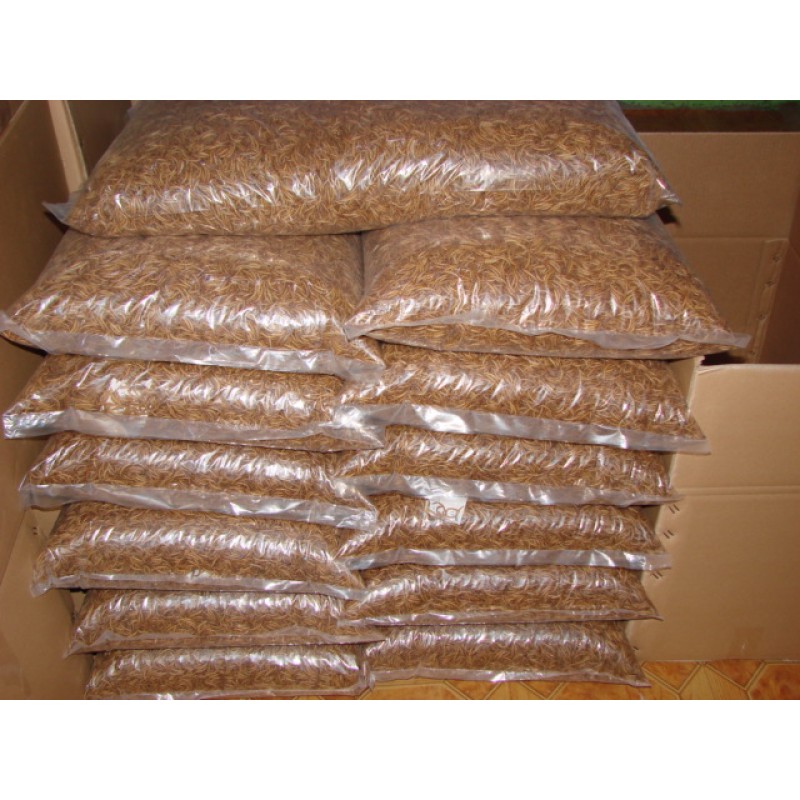 Dried Mealworm Factory - OEM Wild Bird Food