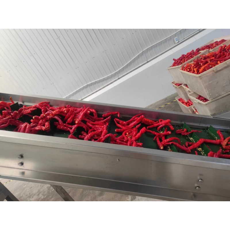 Hot Sauce Factory - OEM Thick Chilli Paste