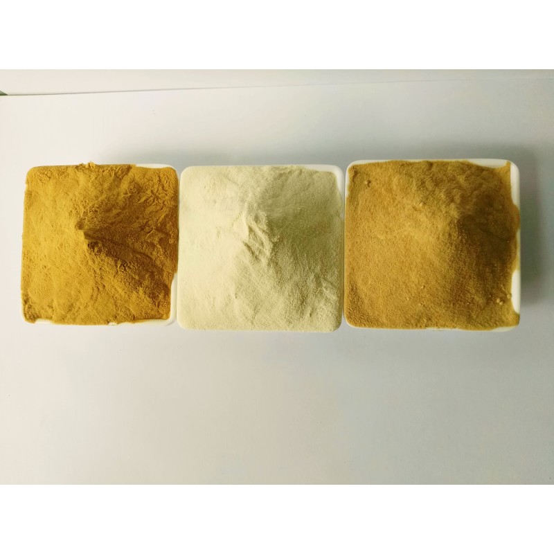 Hydrolyzed Vegetable Protein Manufacturer - OEM HVP Powder