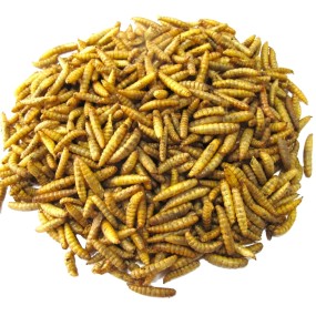 Dried Black Soldier Fly Factory - OEM High Protein Larvae