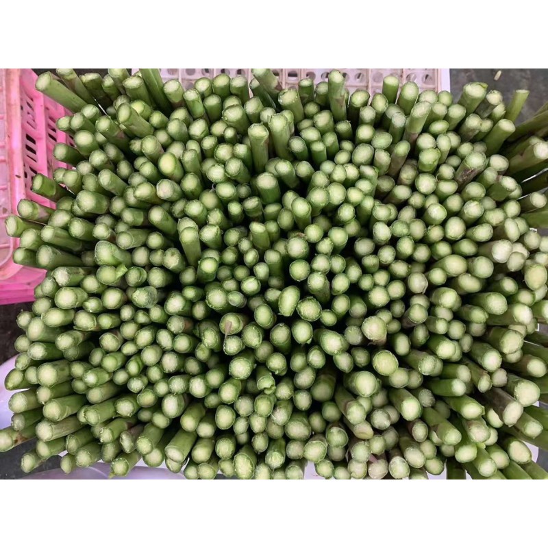 IQF Asparagus Factory - OEM Frozen Fresh Whole