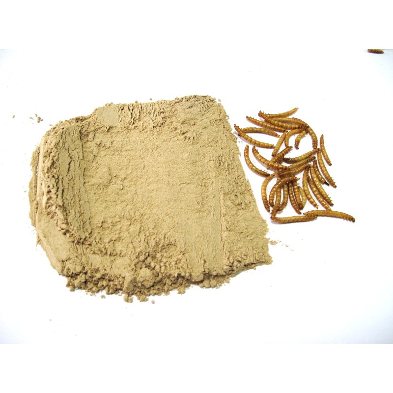 Mealworm Powder Manufacturer - OEM Defatted Worm Powder