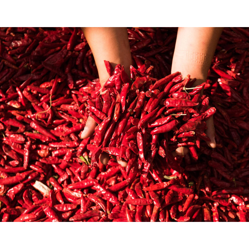 Chili Paste Factory - OEM Fermented Sauce