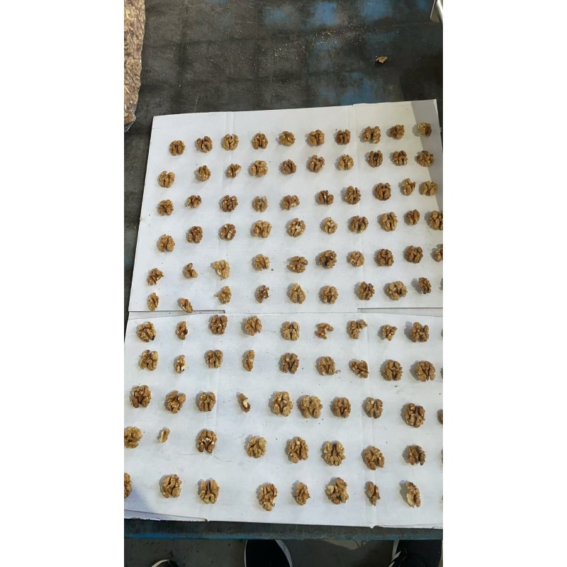 Walnut Kernel Factory - OEM Halves Vacuum Packing