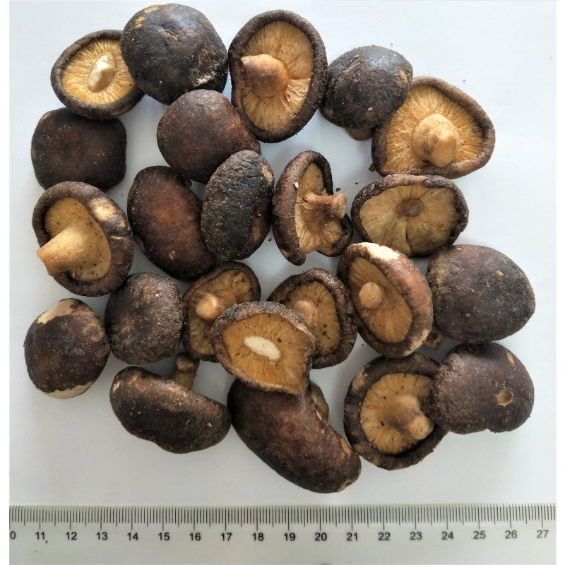 Vacuum Fried Shiitake Manufacturer - OEM VF Mushroom Whole