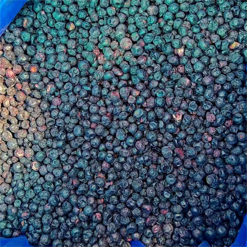 Freeze Dried Fruits Manufacturer - OEM FD Health Snack