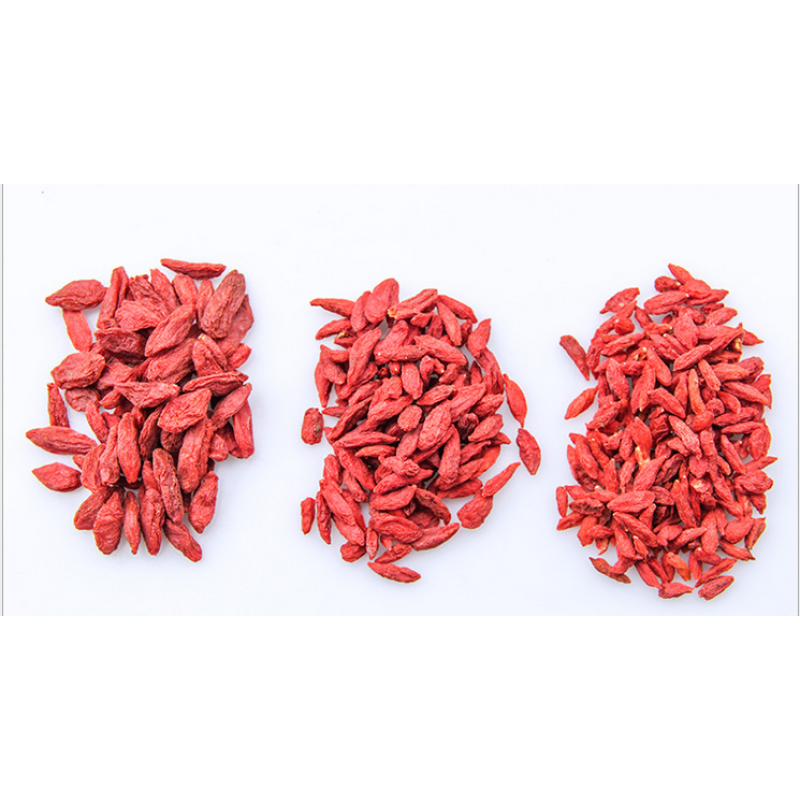 Goji Berry Factory - OEM Ningxia Dried Wolfberry
