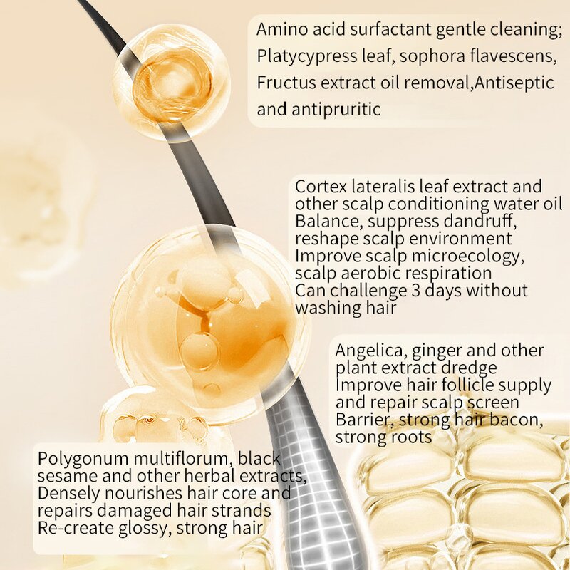Ginger Shampoo Factory - OEM/ODM 750ml Hair Care