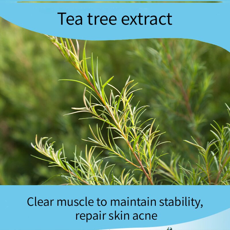 Tea Tree Mask Factory - Hot Organic Natural 0.5kg