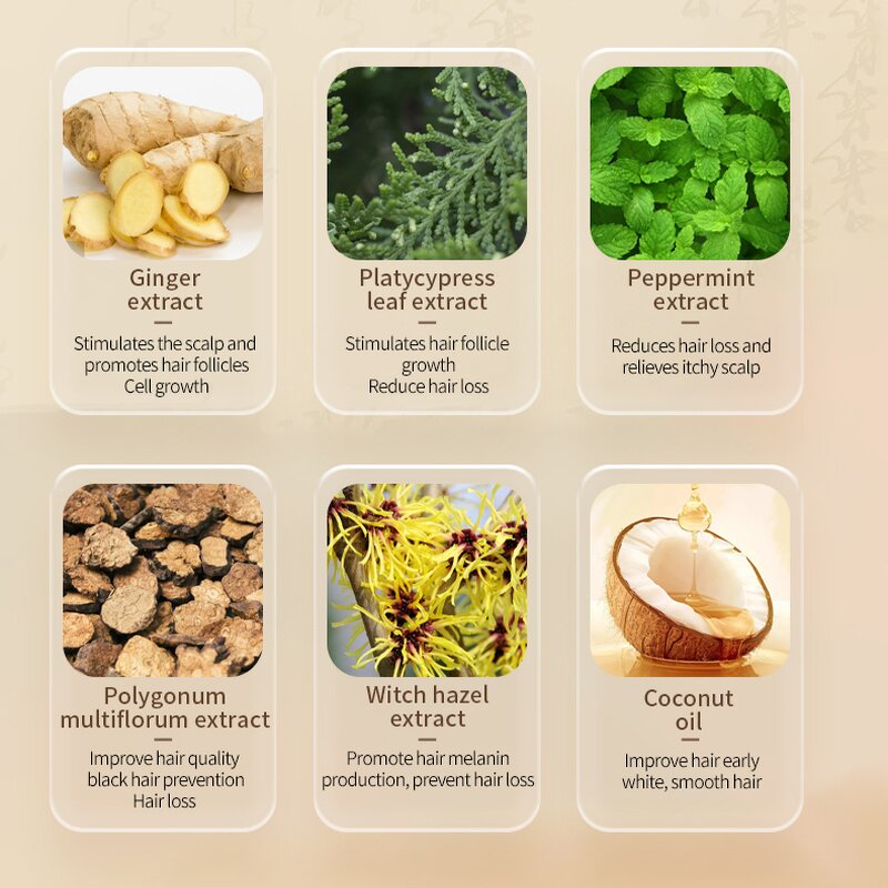 Ginger Shampoo Factory - OEM/ODM 750ml Hair Care