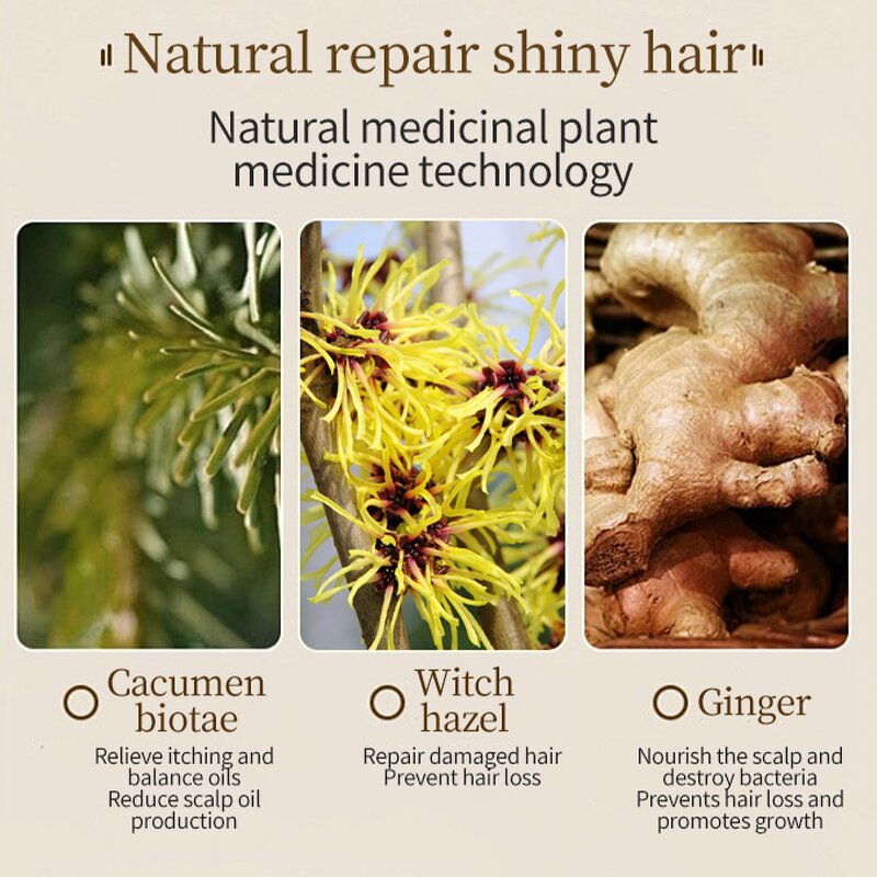 Hair Care Shampoo Factory - Manufacturer Skin 500ml