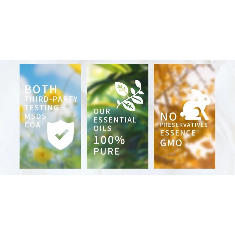 Aromatherapy Set Manufacturer - Factory Price OEM/ODM