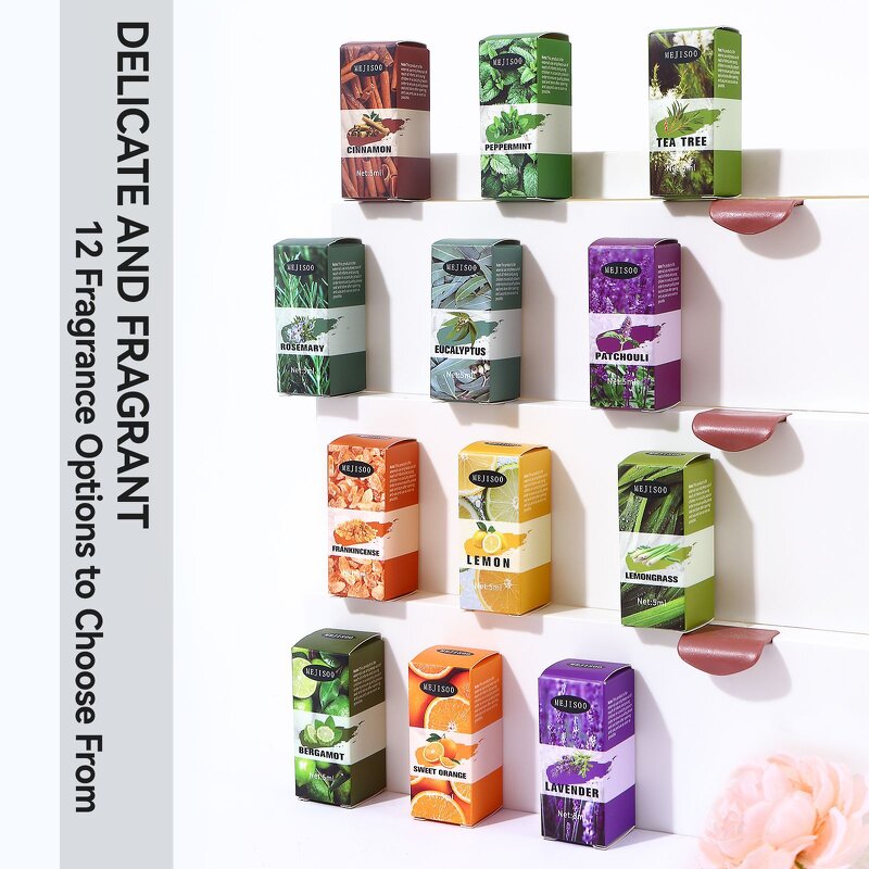 Water-Soluble Oil Factory - Long-Lasting 5ml Natural