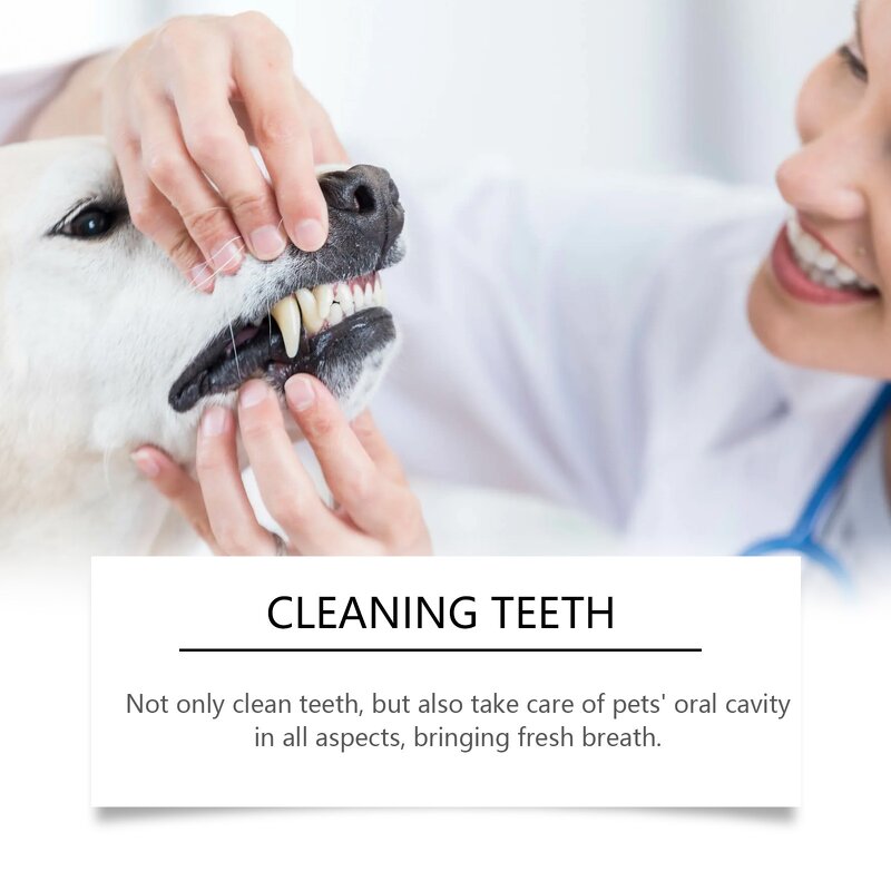 Pet Oral Gel Factory - Organic Cleansing Bad Odors