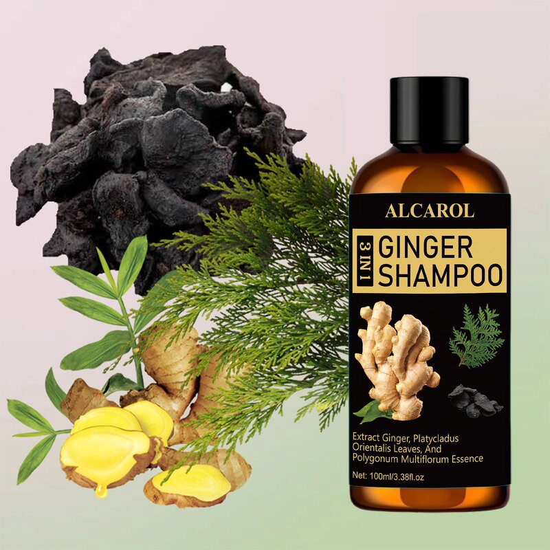 Ginger Shampoo Manufacturer - 3 in 1 for Curly Hair
