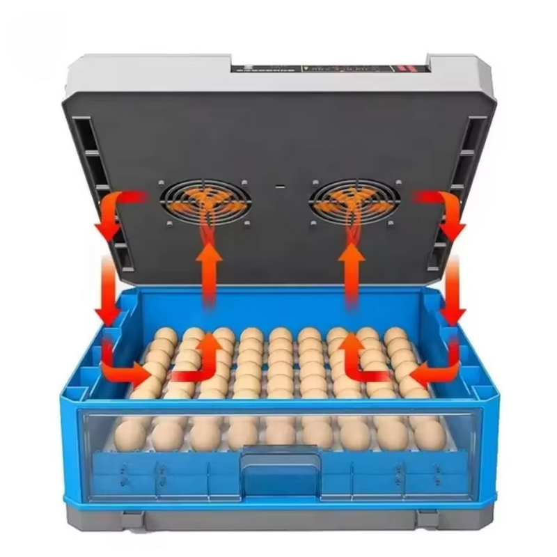 Egg Incubator Manufacturer - Automatic Hatching Machine